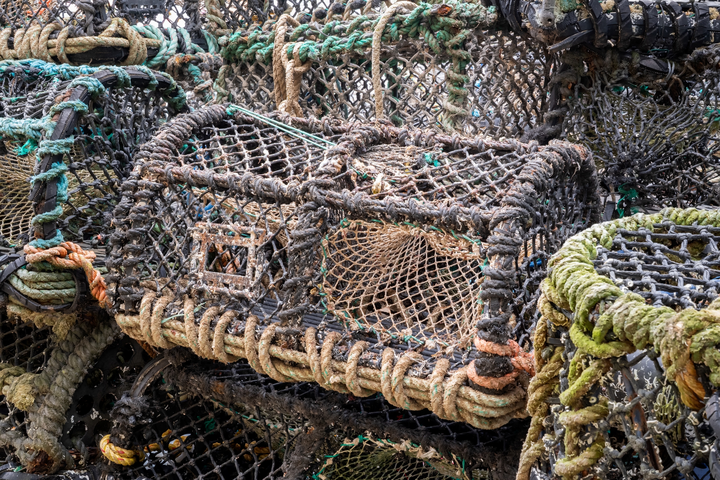 Lobster Pots | Salcombe